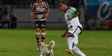 Cachorro invadiu o campo durante o segundo tempo da partida entre Santa Cruz e Treze-PB