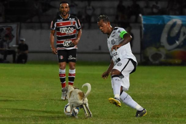 Cachorro invadiu o campo durante o segundo tempo da partida entre Santa Cruz e Treze-PB