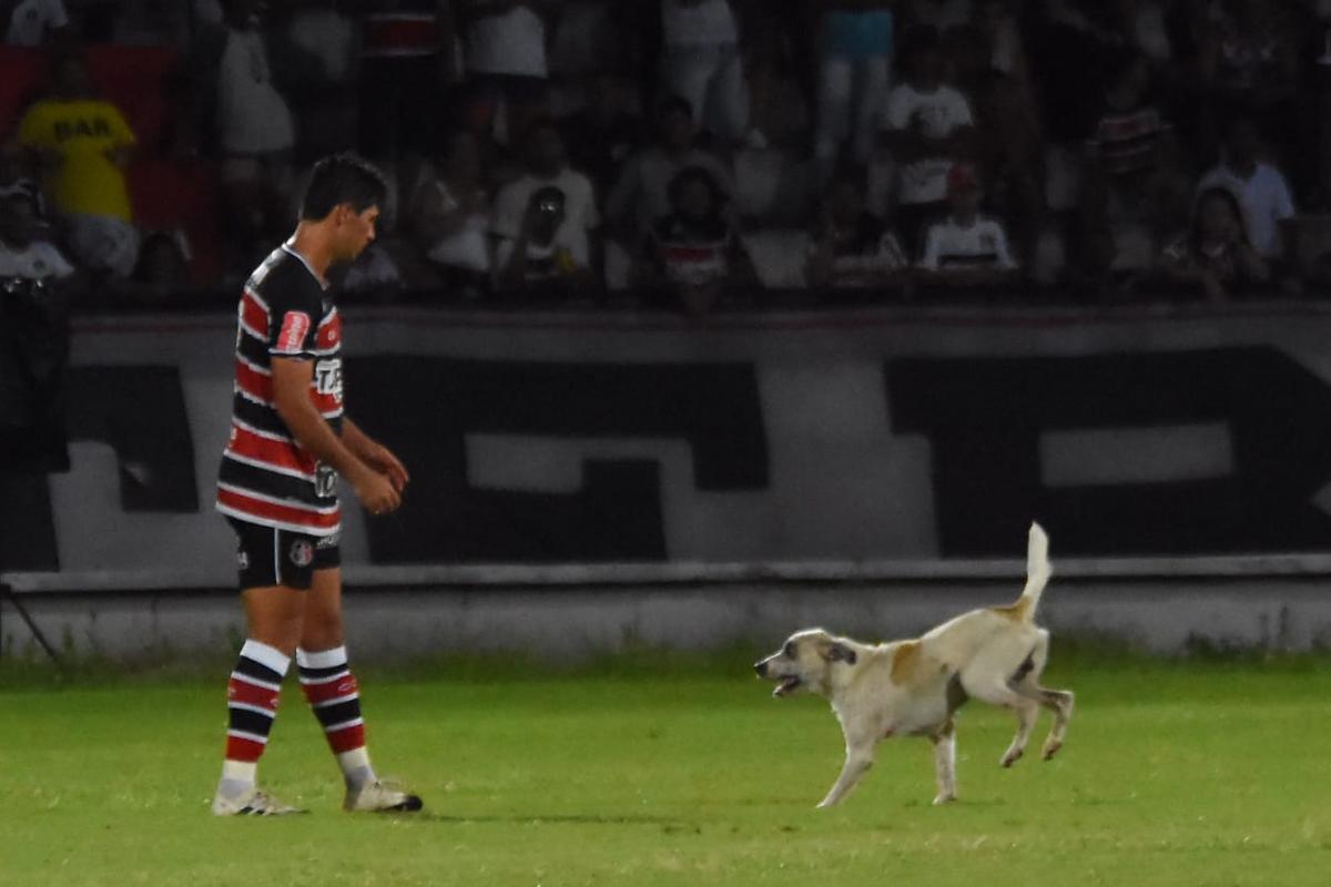 Cachorro invadiu o campo durante o segundo tempo da partida entre Santa Cruz e Treze-PB