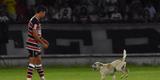 Cachorro invadiu o campo durante o segundo tempo da partida entre Santa Cruz e Treze-PB