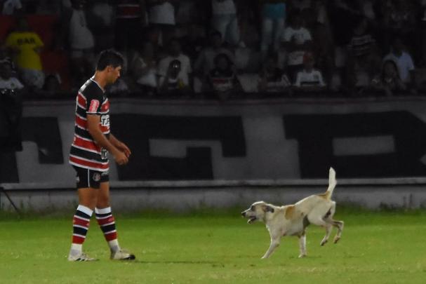 Cachorro invadiu o campo durante o segundo tempo da partida entre Santa Cruz e Treze-PB