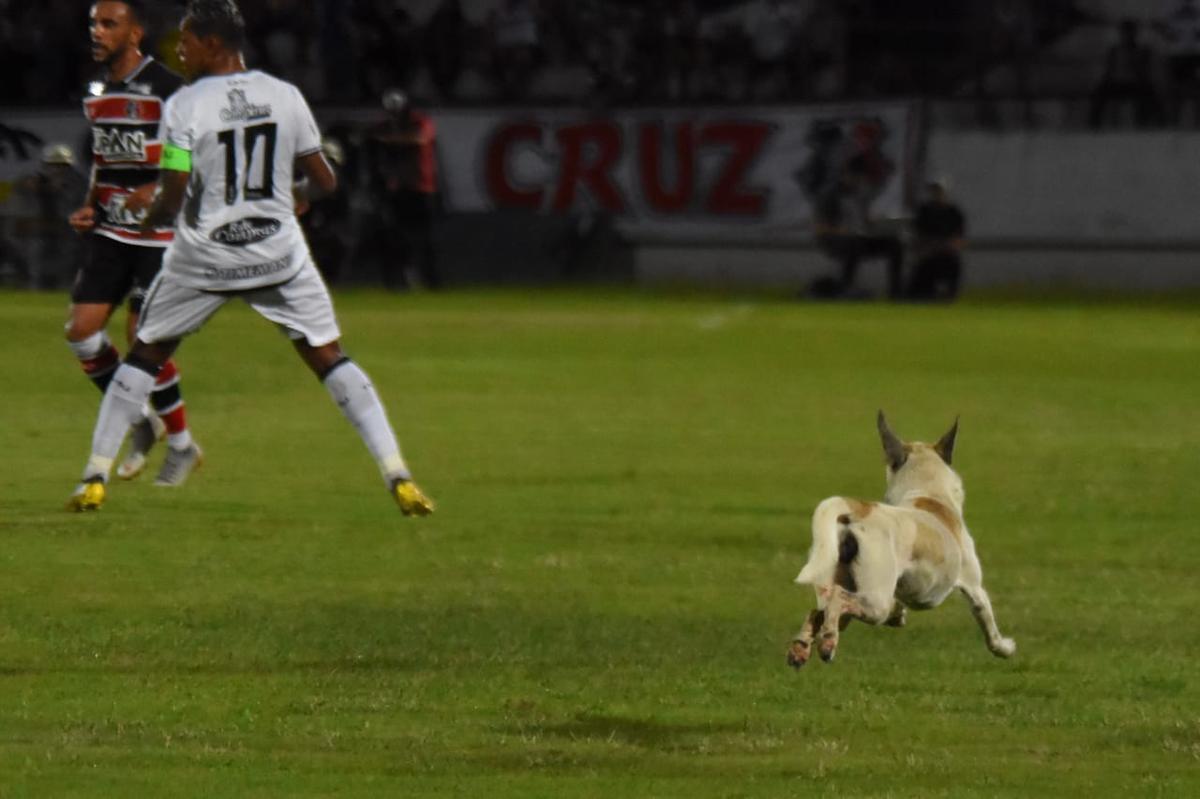 Cachorro invadiu o campo durante o segundo tempo da partida entre Santa Cruz e Treze-PB