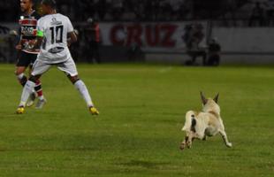 Cachorro invadiu o campo durante o segundo tempo da partida entre Santa Cruz e Treze-PB