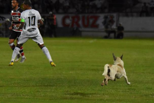 Cachorro invadiu o campo durante o segundo tempo da partida entre Santa Cruz e Treze-PB