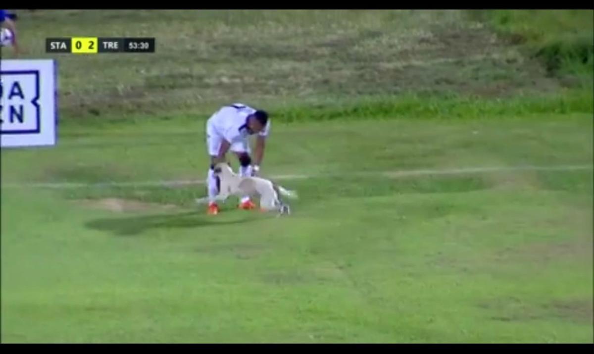 Cachorro invadiu o campo durante o segundo tempo da partida entre Santa Cruz e Treze-PB