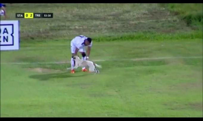 Cachorro invadiu o campo durante o segundo tempo da partida entre Santa Cruz e Treze-PB
