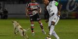 Cachorro invadiu o campo durante o segundo tempo da partida entre Santa Cruz e Treze-PB