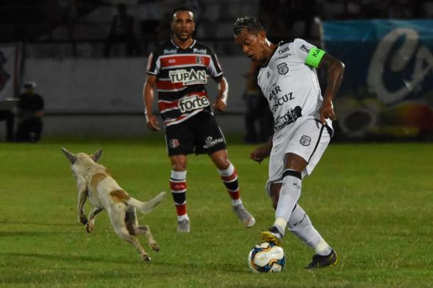 Cachorro invadiu o campo durante o segundo tempo da partida entre Santa Cruz e Treze-PB