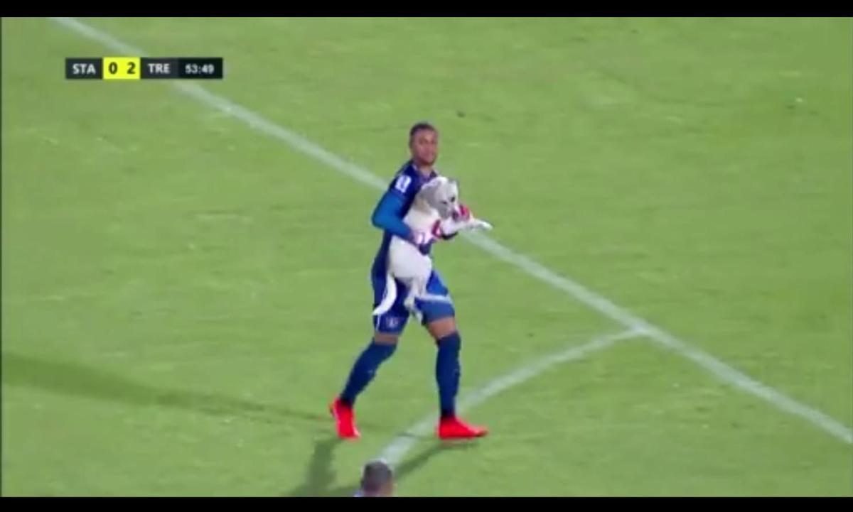 Cachorro invadiu o campo durante o segundo tempo da partida entre Santa Cruz e Treze-PB