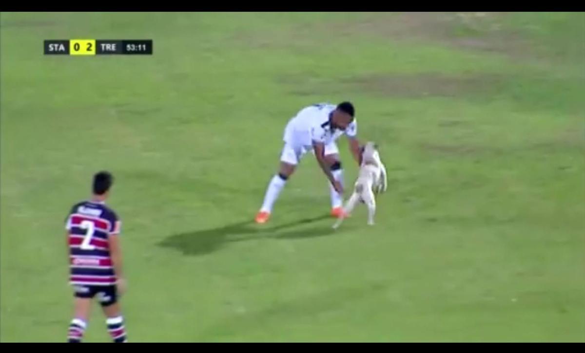 Cachorro invadiu o campo durante o segundo tempo da partida entre Santa Cruz e Treze-PB