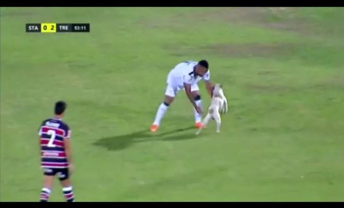 Cachorro invadiu o campo durante o segundo tempo da partida entre Santa Cruz e Treze-PB