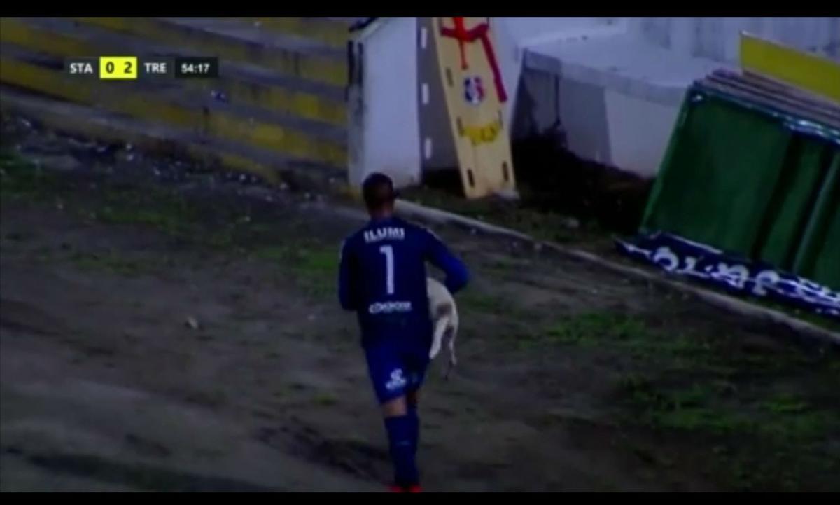 Cachorro invadiu o campo durante o segundo tempo da partida entre Santa Cruz e Treze-PB