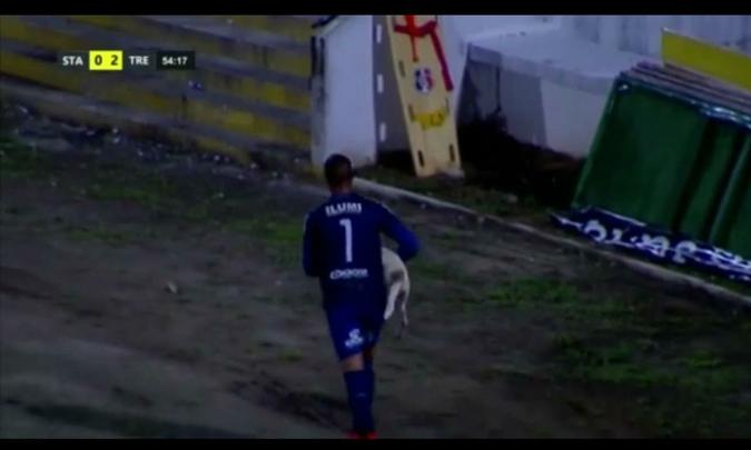 Cachorro invadiu o campo durante o segundo tempo da partida entre Santa Cruz e Treze-PB