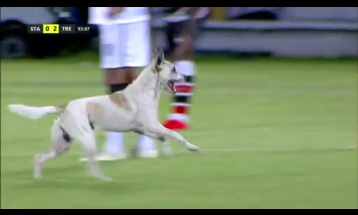 Cachorro invadiu o campo durante o segundo tempo da partida entre Santa Cruz e Treze-PB