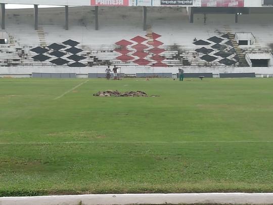 Na manh desta quarta-feira, funcionrios do Santa Cruz fizeram trabalho de recuperao do gramado do Arruda com o intuito de deixar o piso apto a receber o Clssico das Emoes, que ser realizado no prximo dia 23