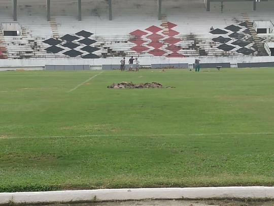 Na manh desta quarta-feira, funcionrios do Santa Cruz fizeram trabalho de recuperao do gramado do Arruda com o intuito de deixar o piso apto a receber o Clssico das Emoes, que ser realizado no prximo dia 23