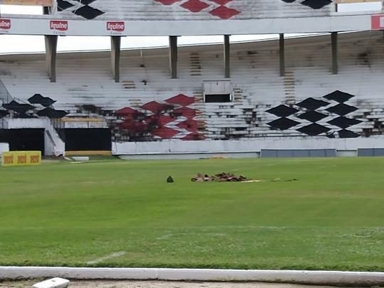 Na manh desta quarta-feira, funcionrios do Santa Cruz fizeram trabalho de recuperao do gramado do Arruda com o intuito de deixar o piso apto a receber o Clssico das Emoes, que ser realizado no prximo dia 23