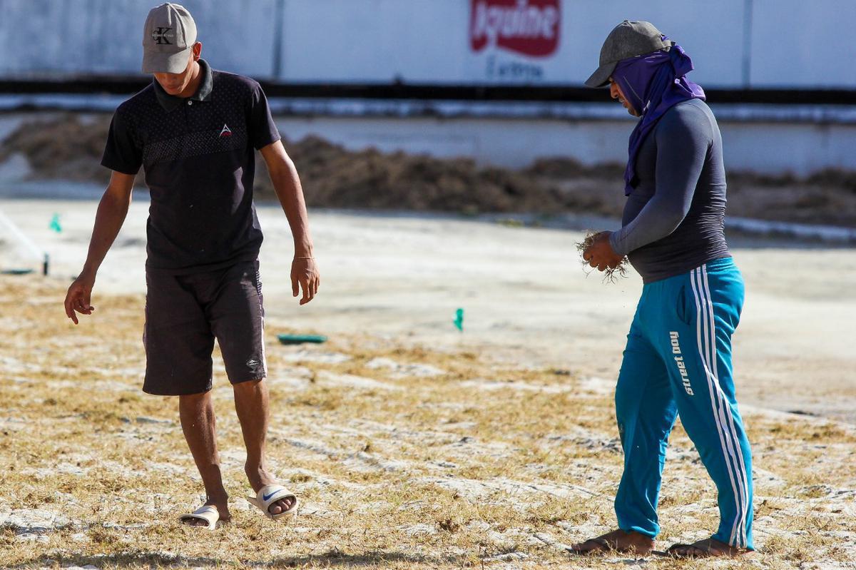 Enquanto aguarda a definio de quem ser o treinador para iniciar montagem do elenco, Santa Cruz investe na reforma do gramado de seu estdio para receber as partidas da temporada 2020