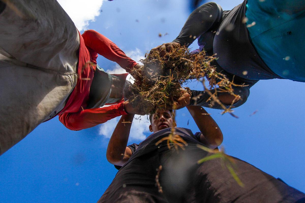 Enquanto aguarda a definio de quem ser o treinador para iniciar montagem do elenco, Santa Cruz investe na reforma do gramado de seu estdio para receber as partidas da temporada 2020