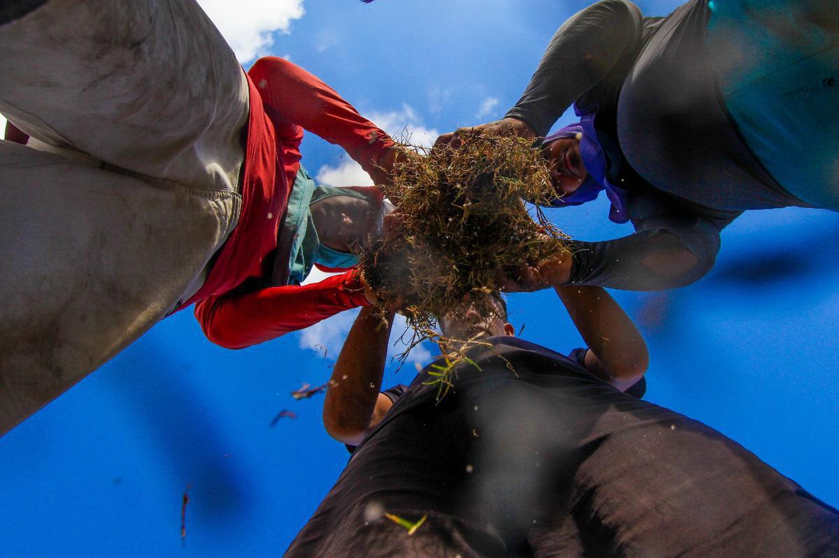 Enquanto aguarda a definio de quem ser o treinador para iniciar montagem do elenco, Santa Cruz investe na reforma do gramado de seu estdio para receber as partidas da temporada 2020