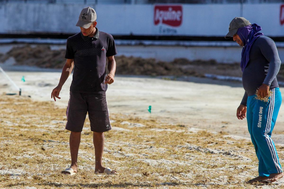 Enquanto aguarda a definio de quem ser o treinador para iniciar montagem do elenco, Santa Cruz investe na reforma do gramado de seu estdio para receber as partidas da temporada 2020