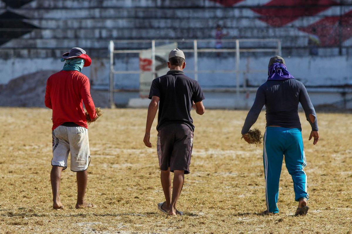 Enquanto aguarda a definio de quem ser o treinador para iniciar montagem do elenco, Santa Cruz investe na reforma do gramado de seu estdio para receber as partidas da temporada 2020