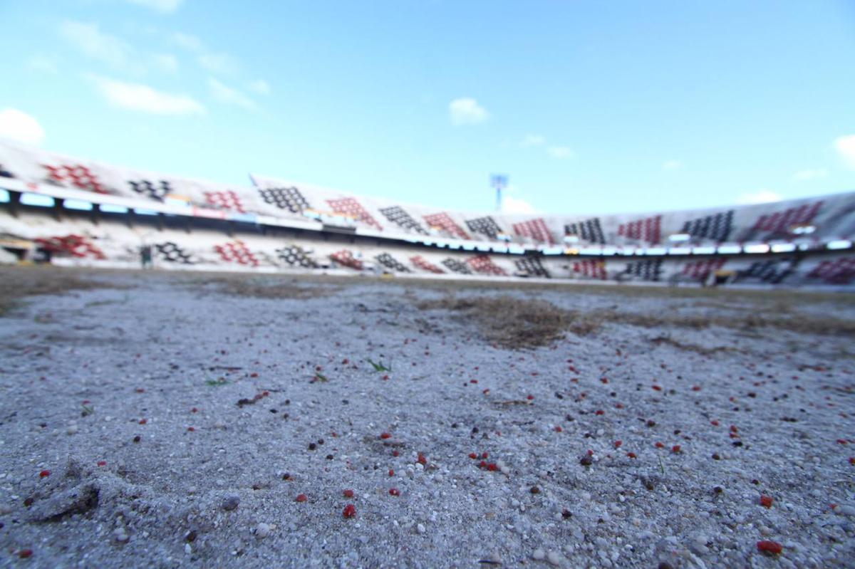 Grama nova foi plantada no ltimo ms, em novembro, e j brotou, mas a aparncia, at o momento,  de folhas ainda secas