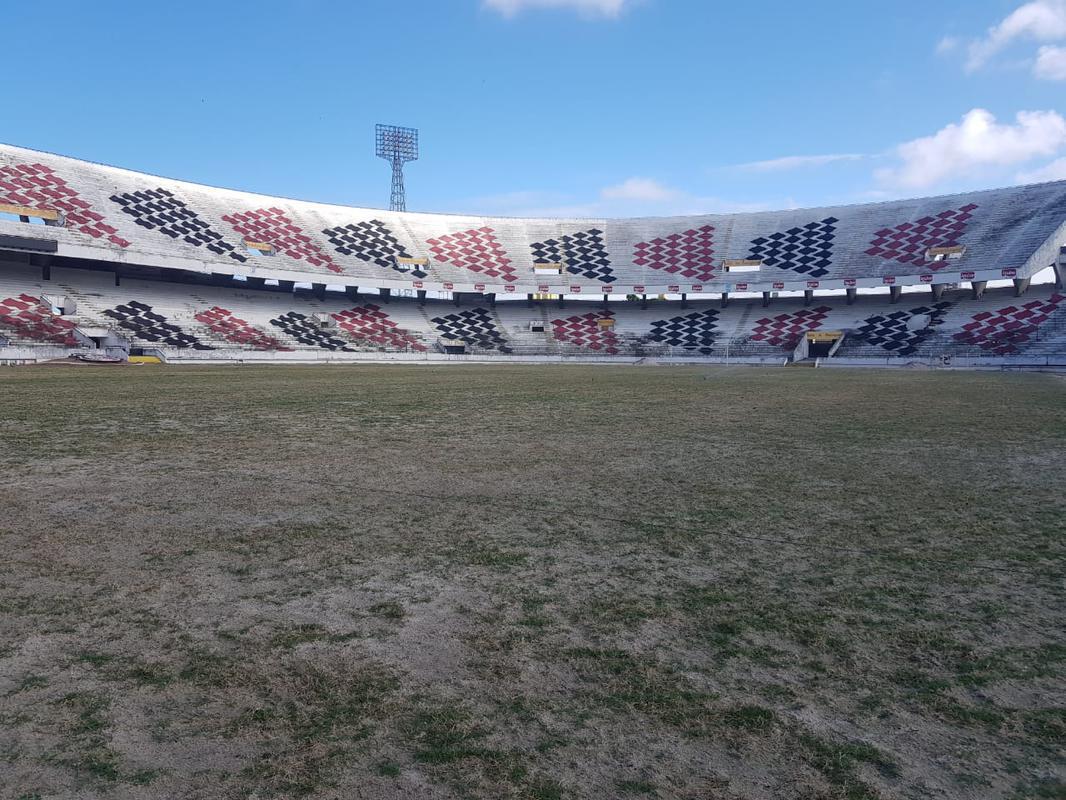 Plantio do gramado do Arruda foi realizado em um nico dia, 27 de novembro, atravs do mtodo de semeadura