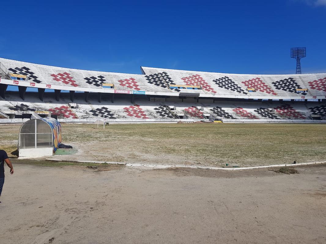 Plantio do gramado do Arruda foi realizado em um nico dia, 27 de novembro, atravs do mtodo de semeadura