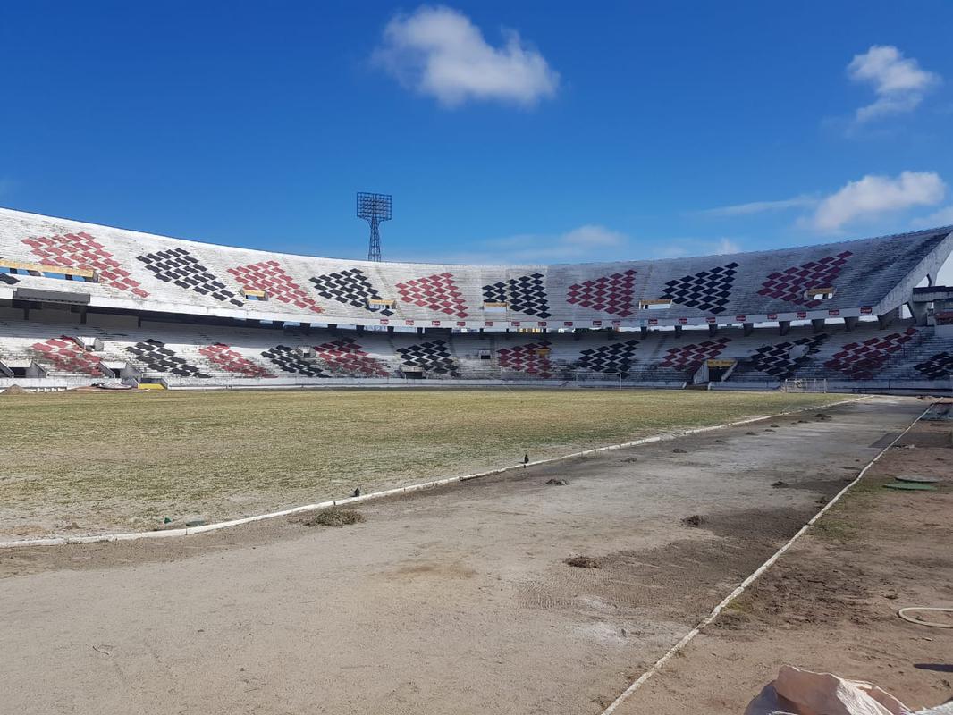 Plantio do gramado do Arruda foi realizado em um nico dia, 27 de novembro, atravs do mtodo de semeadura