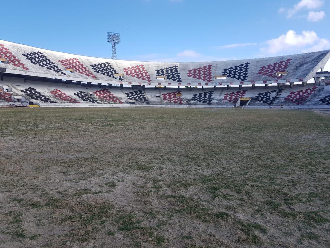 Plantio do gramado do Arruda foi realizado em um nico dia, 27 de novembro, atravs do mtodo de semeadura