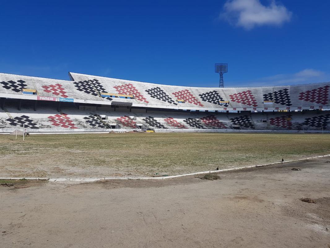 Plantio do gramado do Arruda foi realizado em um nico dia, 27 de novembro, atravs do mtodo de semeadura