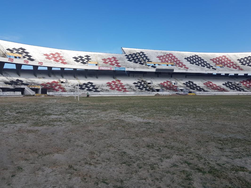 Plantio do gramado do Arruda foi realizado em um nico dia, 27 de novembro, atravs do mtodo de semeadura