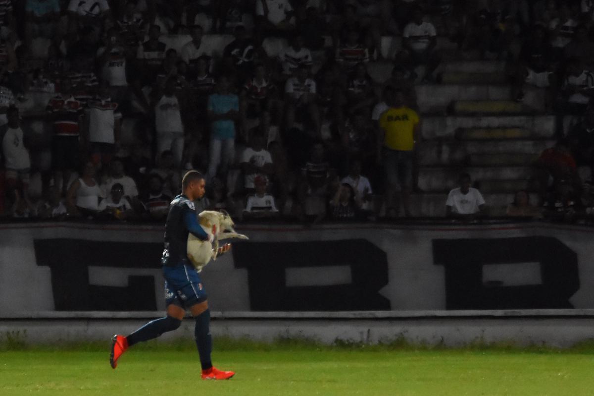 Em jogo movimentado, Santa Cruz e Treze se enfrentaram pela estreia da Srie C de 2019. O time paraibano saiu  frente no primeiro tempo, com vantagem de 2 a 0 no placar. Com a virada aps o intervalo, o Santa Cruz pressionou, mas o empate s viria aps a invaso de um cachorro. Batizado depois de 'Pipico', o co foi retirado de campo pelo goleiro Anderson, e da por diante o Santa empatou com gols de Neto Costa e Guilherme Queiroz, ambos reservas da equipe na ocasio.