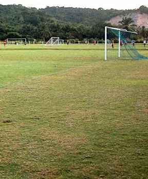 RICARDO FERNANDES/DP/D.A PRESS