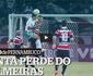 Assista aos melhores momentos da derrota do Santa Cruz para o Palmeiras, no Arruda