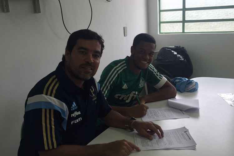 Palmeiras / Divulgação Palmeiras / Divulgação