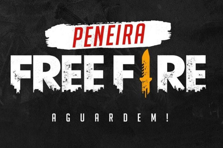 Novato nos esportes eletrônicos, Santa Cruz-PB vai abrir inscrições para  seletiva do time de Free Fire – LIBERDADE PB